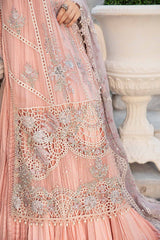 Embroidered Chiffon | MPC-24-106
